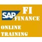 SAP FI-CO ONLINE TRAINING @ 750 With Certification documents